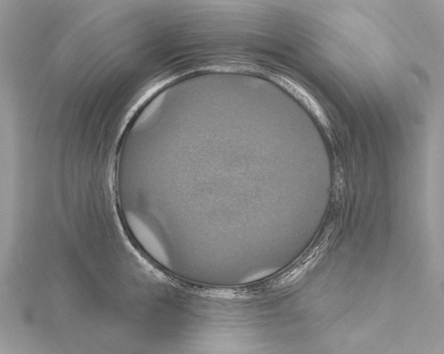 X0000115450855200912021004