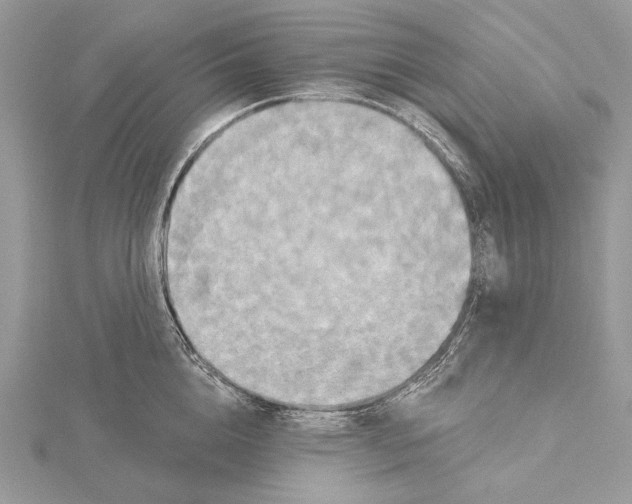 X0000115450856200912021004