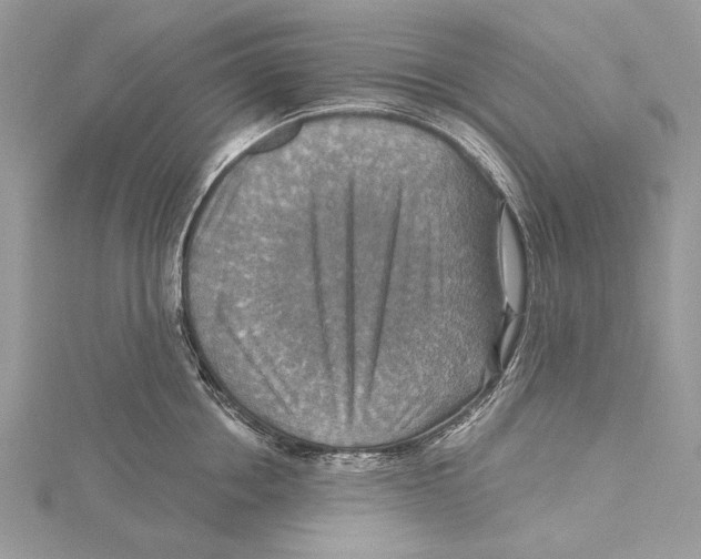 X0000115450858200912021004