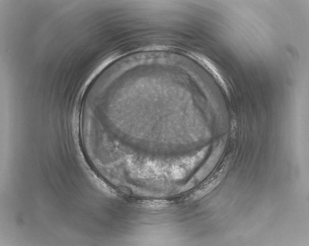 X0000115450859200912021004