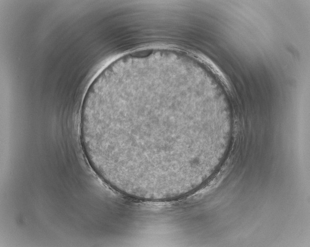 X0000115450860200912021004