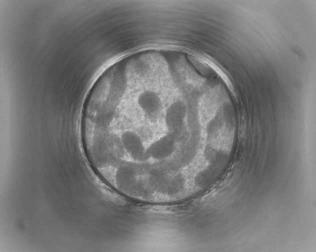 X0000115450861200912021004