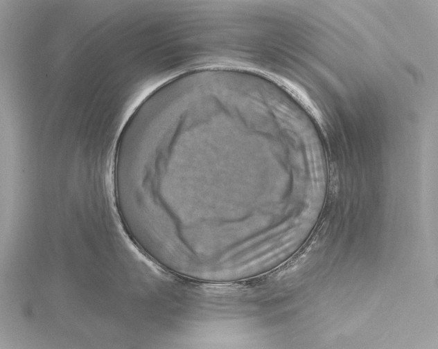 X0000115450863200912021004