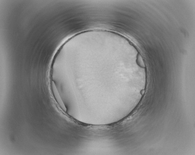 X0000115450864200912021004