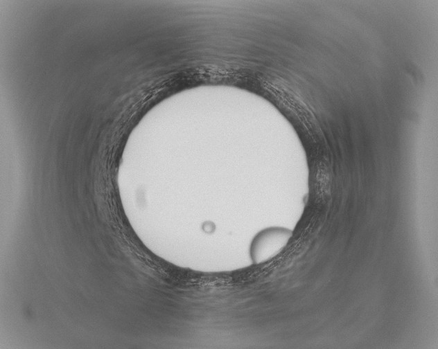 X0000115450865200912021004