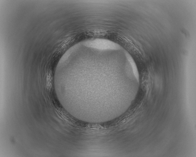 X0000115450866200912021004