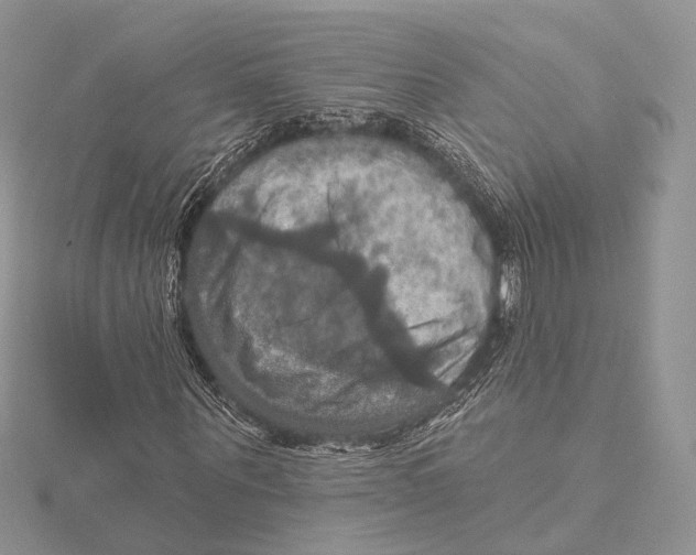 X0000115450867200912021004