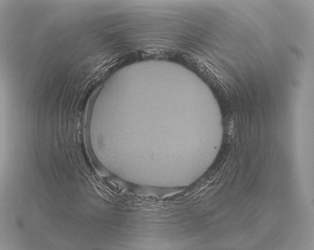 X0000115450868200912021004