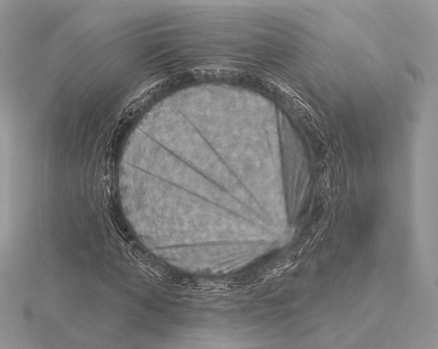 X0000115450870200912021004