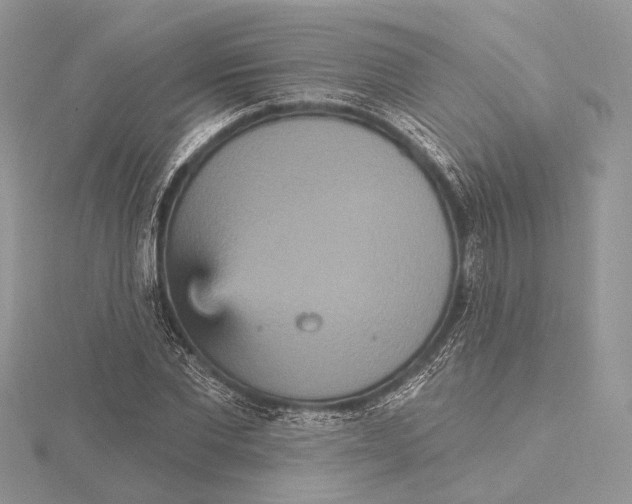 X0000115450877200912021004