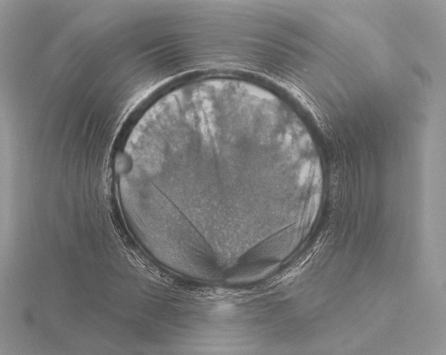 X0000115450879200912021004