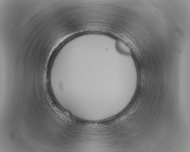 X0000115450880200912021004