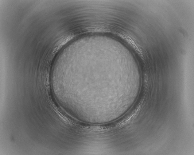 X0000115450881200912021004