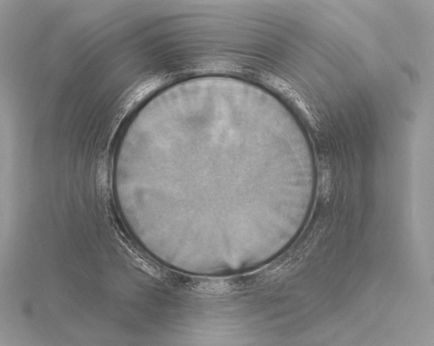 X0000115450882200912021004