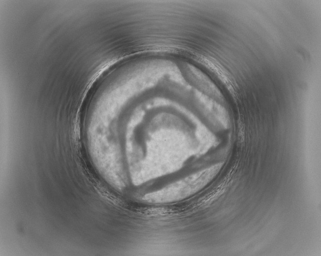 X0000115450883200912021004