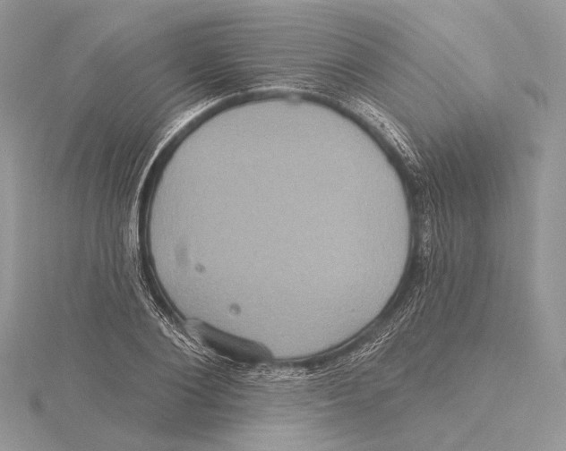 X0000115450884200912021004