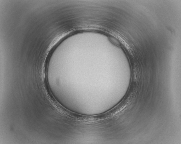 X0000115450885200912021004