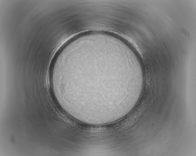 X0000115450887200912021004