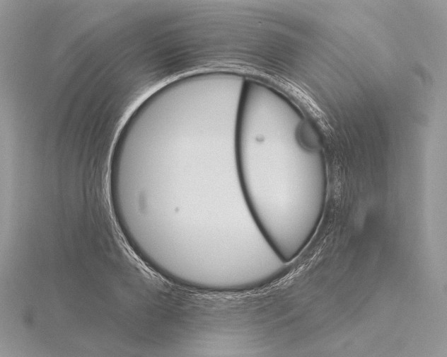 X0000115450888200912021004