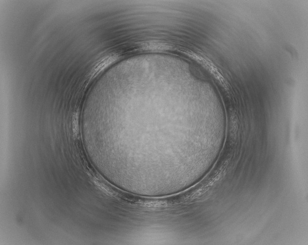 X0000115450889200912021004