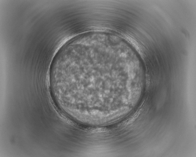 X0000115450891200912021003