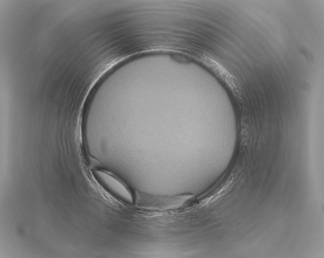 X0000115450892200912021003