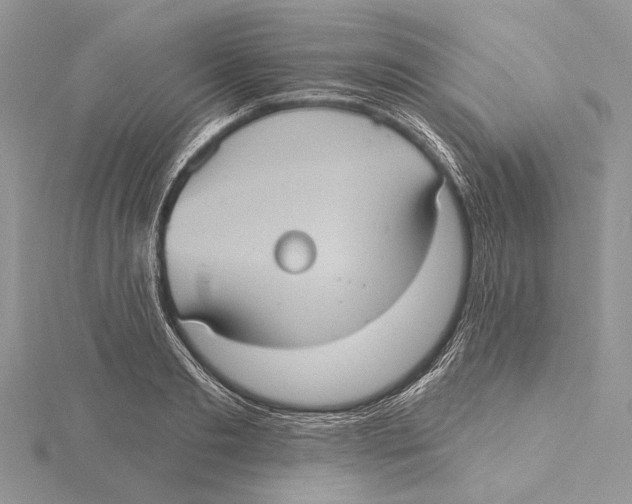 X0000115450893200912021003