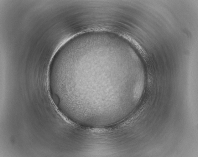 X0000115450894200912021003