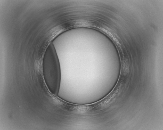 X0000115450897200912021003