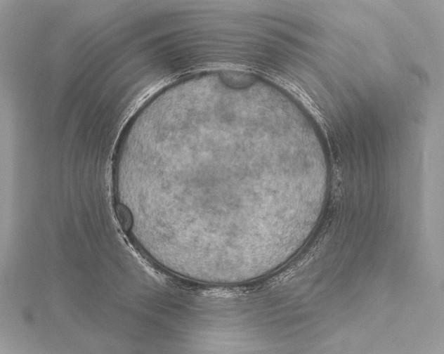 X0000115450898200912021003