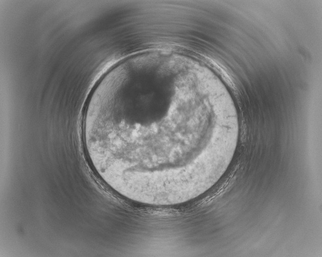 X0000115450899200912021003