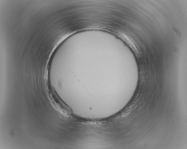 X0000115450900200912021003