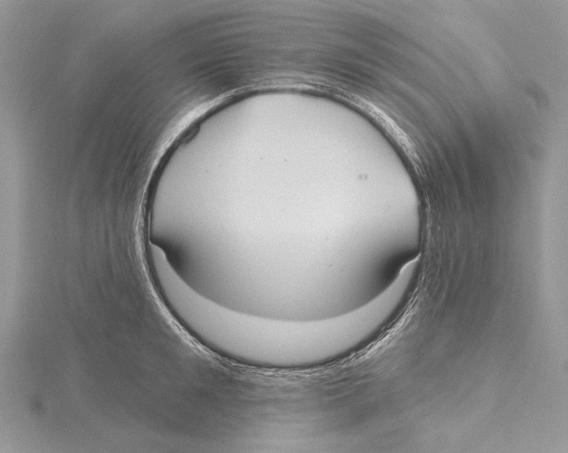 X0000115450901200912021003