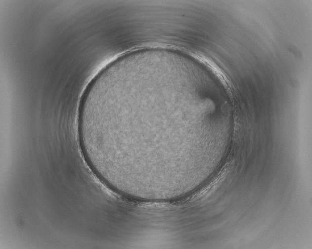 X0000115450902200912021003