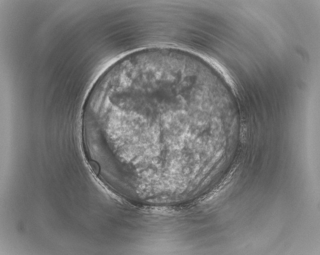 X0000115450903200912021003