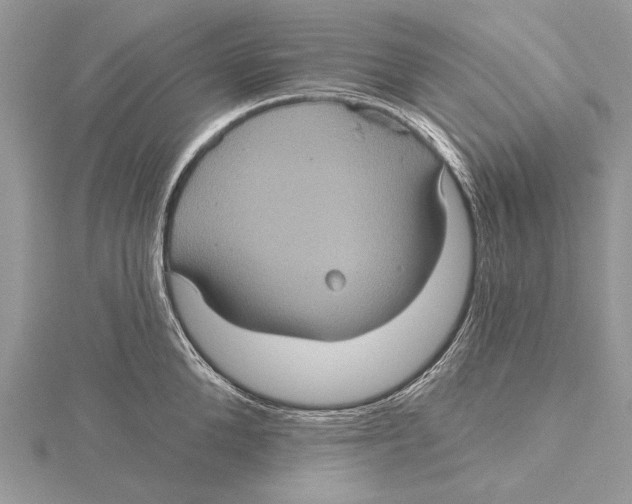 X0000115450904200912021003