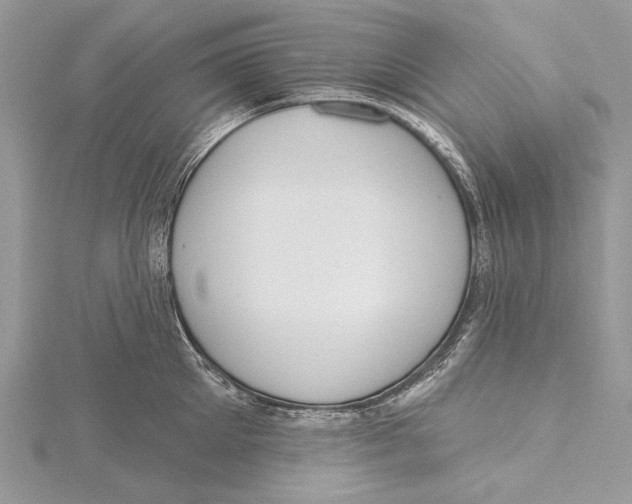 X0000115450905200912021003