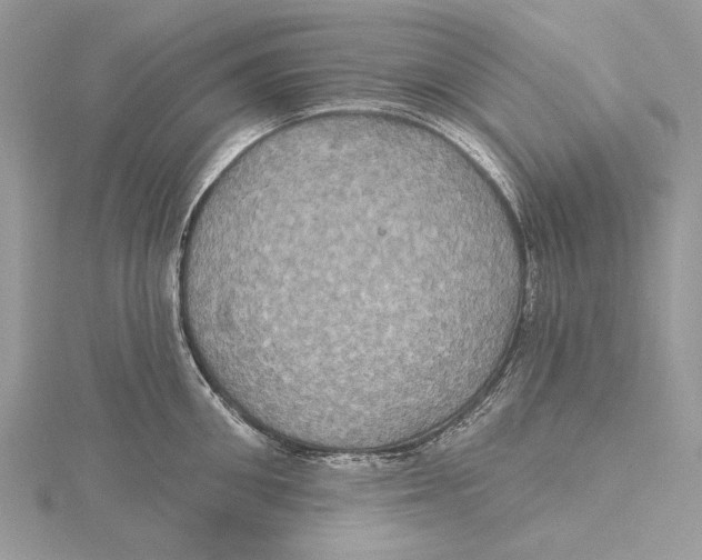 X0000115450906200912021003