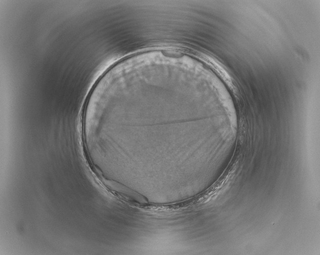 X0000115450907200912021003