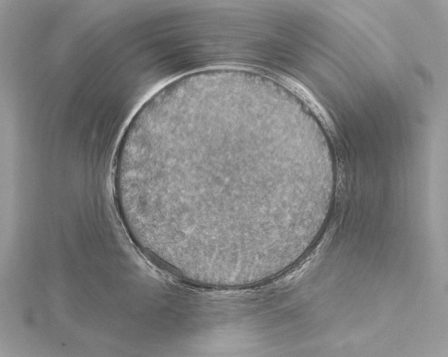 X0000115450908200912021003