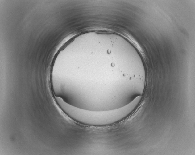 X0000115450909200912021003