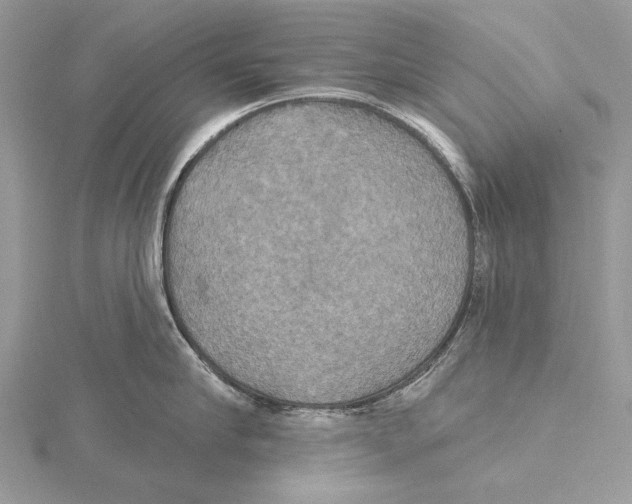 X0000115450910200912021003