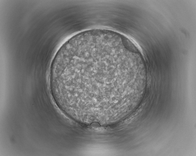 X0000115450911200912021003