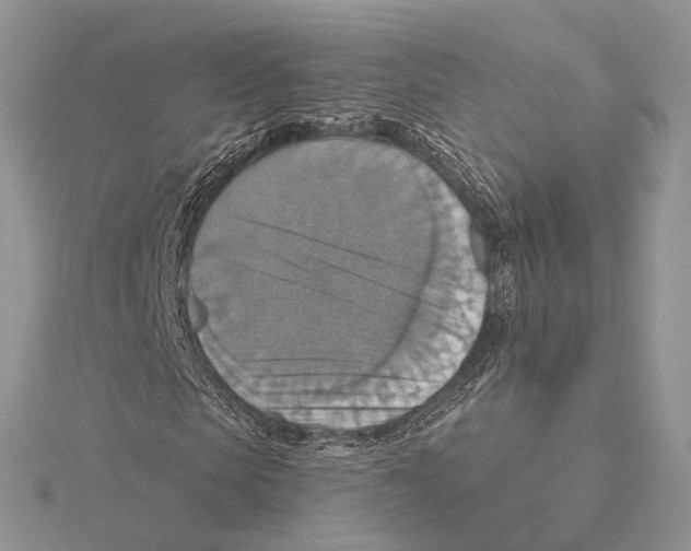 X0000115450913200912021003