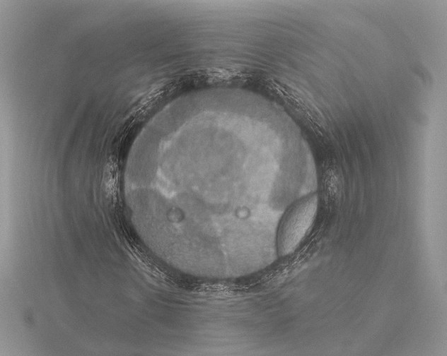 X0000115450914200912021003