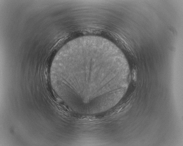 X0000115450915200912021003