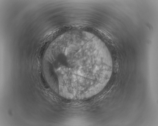 X0000115450917200912021003