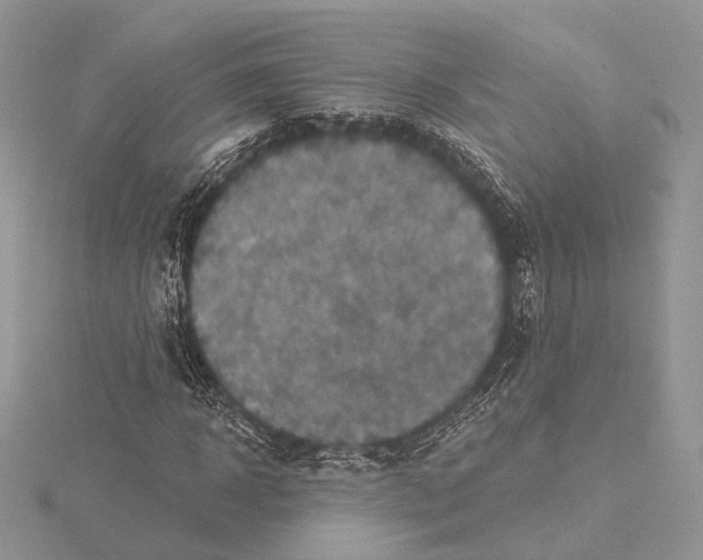 X0000115450918200912021003