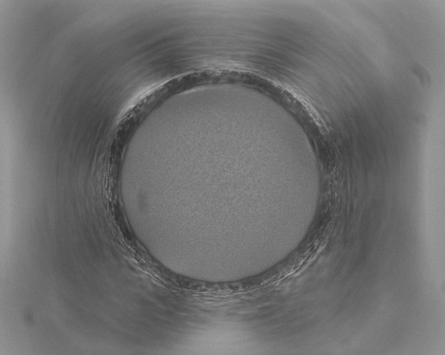 X0000115450919200912021003