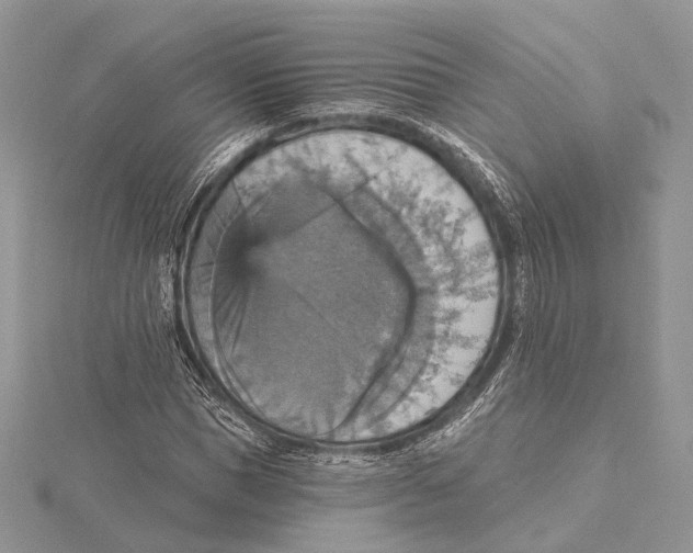 X0000115450921200912021003